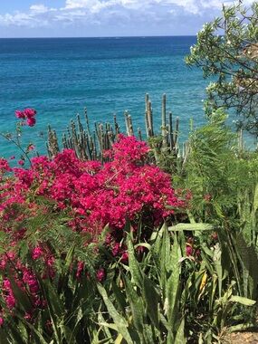 Meet your Posher, Shan!